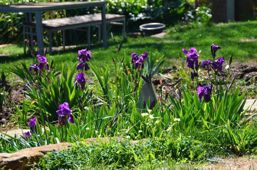 Dairyman'S Cottage Lyndoch Eksteriør billede